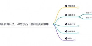 鸿铭网创88计之第二十四计：探探最新私域玩法，30的东西十倍利润卖到爆单，比黑五类还暴力