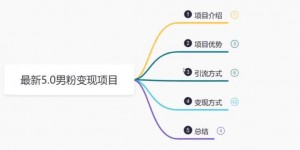 鸿铭网创88计之第四计：最新5.0男粉变现项目，带你月入1w+