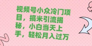 视频号小众冷门项目，搞米引流揭秘，小白当天上手，轻松月入过万