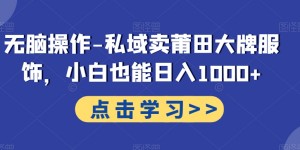 无脑操作-私域卖莆田大牌服饰，小白也能日入1000+