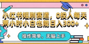 小红书短剧私域引流交易全解，简单操作所需资源都给你，0投入小白每天两小时轻松日入300+