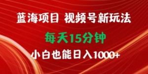 蓝海项目，视频号新玩法，每天15分钟，小白也能日入1000+