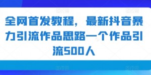 全网首发教程，最新抖音暴力引流作品思路一个作品引流500人