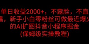 单日收益2K，不露脸，不直播，新手小白零粉丝可做最近爆火的AI扩图抖音小程序掘金