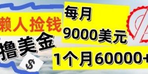 懒人捡钱撸美金项目，月收益9k+美金，简单无脑，干就完了