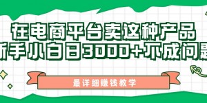 最新在电商平台发布这种产品，新手小白日入3k不成问题，最详细赚钱教学