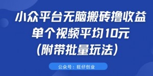 小众平台无脑搬砖撸收益 单个视频平均10元 (附带批量玩法)