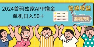 2024首码零撸聚合APP，单机日入50+，提现秒审核秒到账