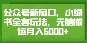 公众号新风口，小绿书全套玩法，无脑搬运月入6000+