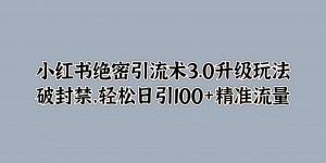 小红书绝密引流术3.0升级玩法，破封禁，轻松日引100+精准流量