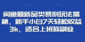 闲鱼最新品类暴利玩法揭秘，新手小白7天轻松收益3k，适合上班族副业