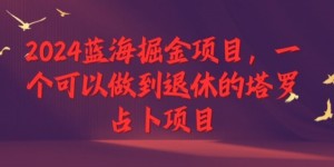 2024蓝海掘金项目，一个可以做到退休的塔罗占卜项目