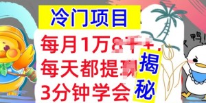 冷门项目，这个方法一定要学会，内部教程，每月1w(揭秘)