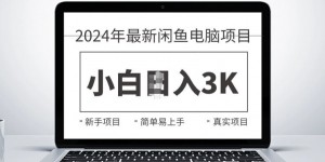 2024最新闲鱼电脑项目，动手就能吃肉的好项目