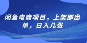 闲鱼电商项目，上架即出单，日入几张