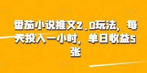 番茄小说推文2.0玩法，每天投入一小时，单日收益5张