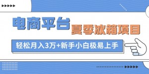 电商平台冰箱项目，项目门槛低，0成本投入，小白轻松上手