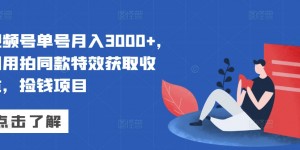 视频号单号月入3000+，利用拍同款特效获取收益，捡钱项目