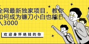 全网最新独家项目，教你如何成为镰刀小白也能日入上K