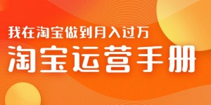 淘宝运营教学手册在淘宝卖这个品可以让你做到日入几张+新手小白轻松上手