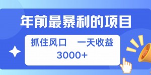 年前最暴利的项目之一，抓住风口，一天收益上k，可以过个肥年