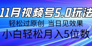 11月最新视频号5.0玩法，轻松过原创，当日见效果，小白轻松月入5位数