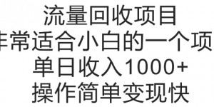 流量回收项目，非常适合小白的一个项目单日收入多张，操作简单变现快