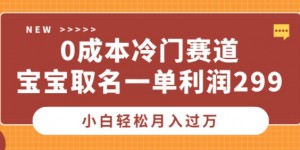 0成本冷门赛道，宝宝取名一单利润299，小白轻松月入过万