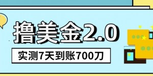 海外撸美金2.0，油管分享视频撸美金，5刀提现到账，一周到账2百刀