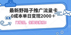 最新野路子推广流量卡，一张200-300，门槛低，0成本单日变现多张