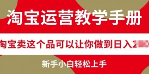 淘宝运营教学手册在淘宝卖这个品可以让你做到日入几张，新手小白轻松上手