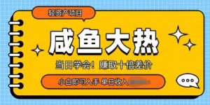 咸鱼大热轻资产类项目，当日学会，赚取十倍差价，小白即可入手