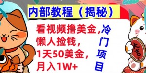 看视频撸美金，懒人捡钱，1天50美金，全自动收入，内部教程，首次公开