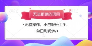 无法拒绝的项目，无脑操作，小白轻松上手，单日利润多张