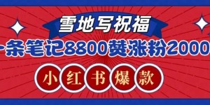 一条笔记8800+赞，涨粉2000+，火爆小红书雪地写祝福玩法