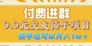 付费进群9.9交友搭子项目，熟练可矩阵操作，月收益过W