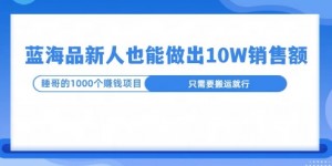 这个蓝海品，新号也能卖出10W的销售额，年底疯狂怼量就能出结果