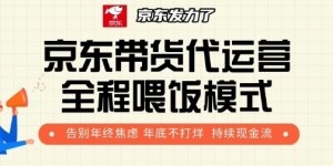 京东带货代运营全程喂饭模式，告别年终焦虑 年底不打烊 持续现金流+