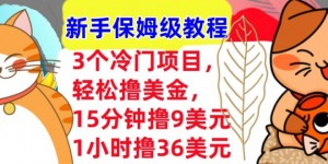 3个冷门项目，轻松撸美刀，1小时撸36刀，新手保姆级教程