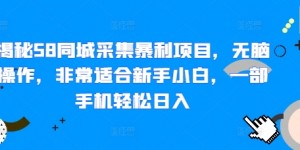 揭秘58同城采集暴利项目，无脑操作，非常适合新手小白，一部手机轻松日入