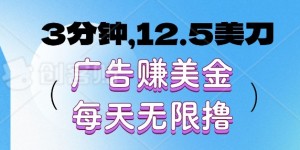 3分钟，12.5美刀，广告赚美金，每天无限撸