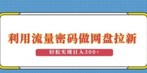 利用流量密码做网盘拉新，操作简单适合0基础小白，轻松实现日入3张