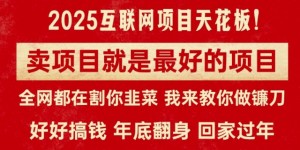 卖项目就是最好的项目，2025年互联网项目天花板