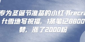 专为圣诞节准备的小红书recraft雪地写祝福，1条笔记8800赞，涨了2000粉