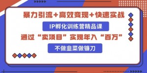 知识付费独家玩法：精准引流+高效变现，简单复制成功模式，最新IP共创导师训练营玩法