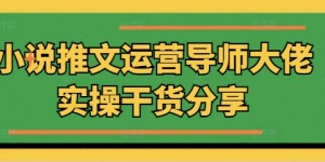 小说推文运营导师大佬实操干货分享