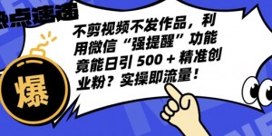 不剪视频不发作品，视频号私信日引 500 + 精准创业粉?实操即流量!