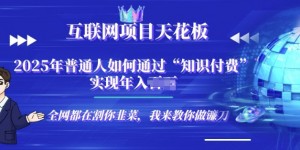 2025-互联网项目天花板”知识付费”卖项目合伙人镰刀训练营