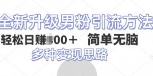 全新升级男粉引流方法，不需要真人出境，不需要你有才艺，二创风格 简单暴力