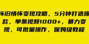 怀旧情怀变现攻略，5分钟打造爆款，单条视频1000+，暴力变现，可批量操作，保姆级教程